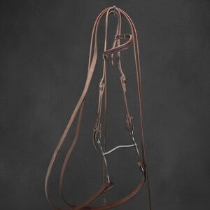 Brown Leather Horse Bridle